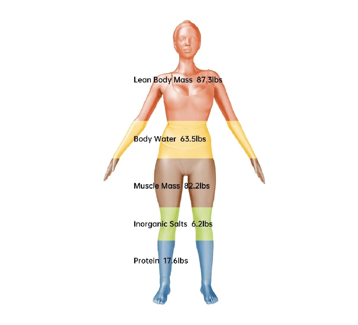 Pesée Visbody Oxyty Antony